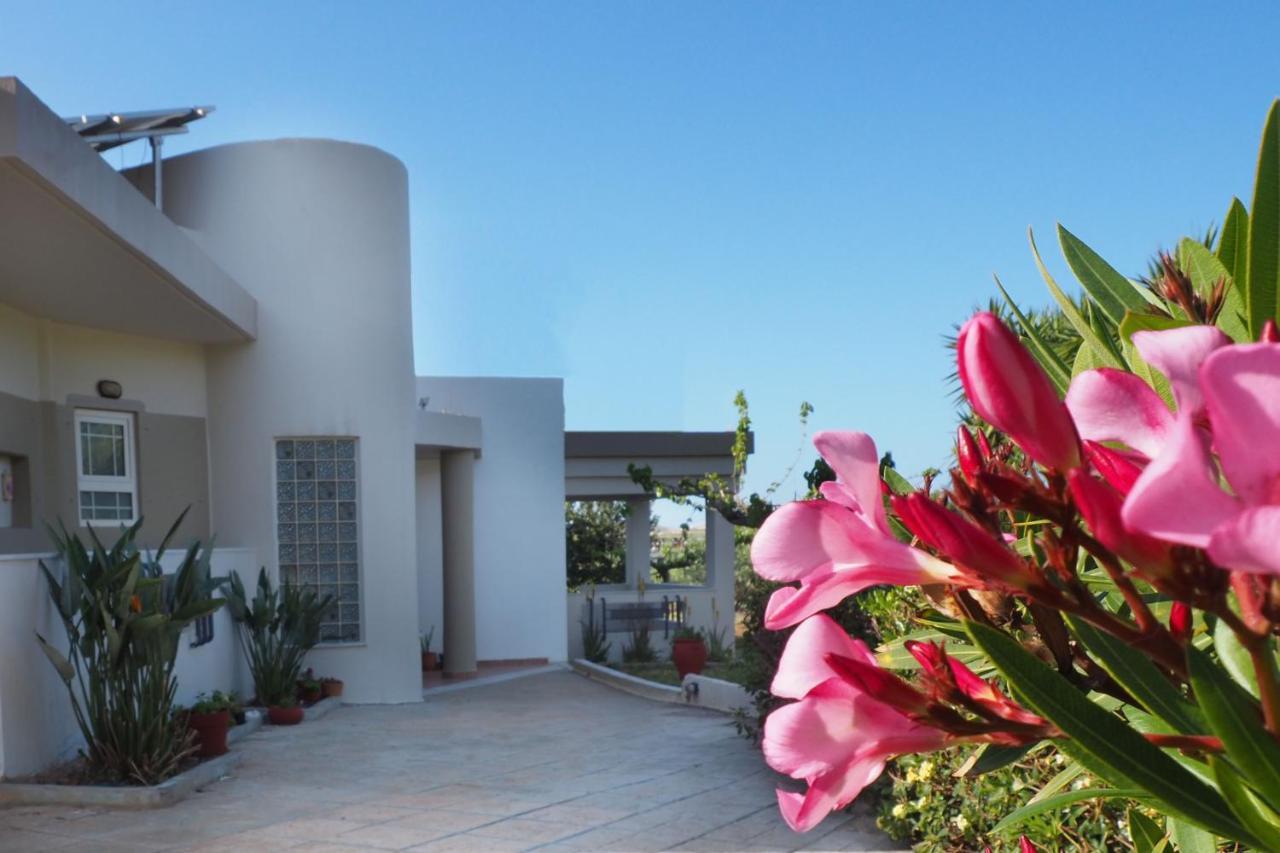 Olive House Villa Malia Eksteriør billede
