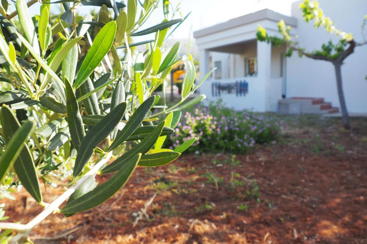 Olive House Villa Malia Eksteriør billede